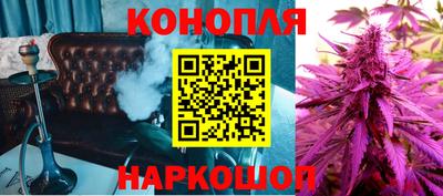 бошки Будённовск
