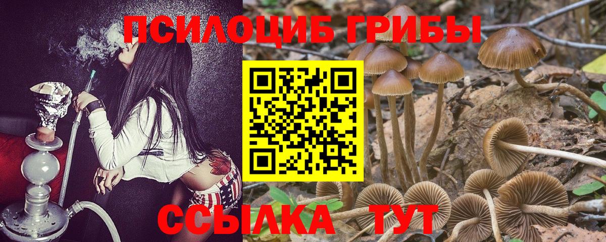 Прокопьевск  Галлюциногенные грибы мицелий  Вход с VPN 