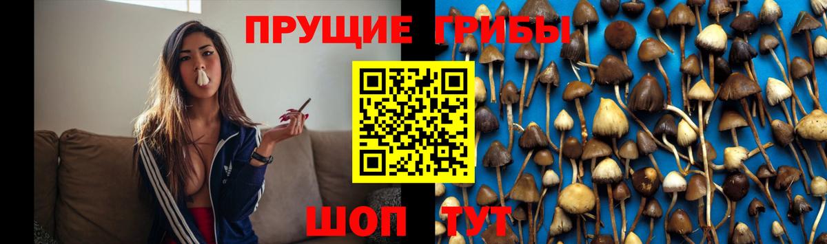 Галлюциногенные грибы мицелий Прокопьевск